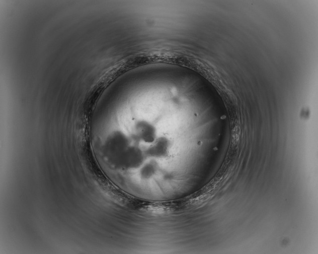 X0000099450464200805301516