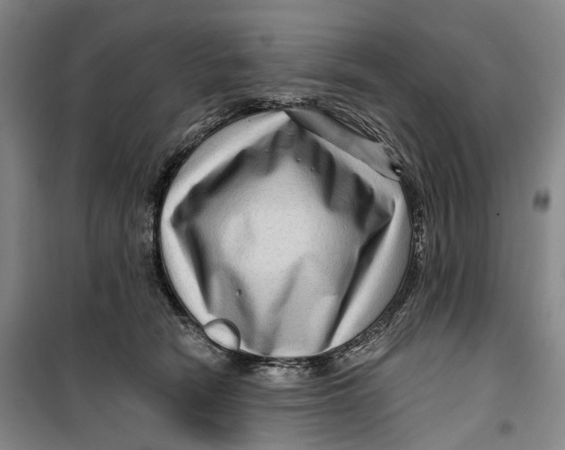 X0000099450466200805301516