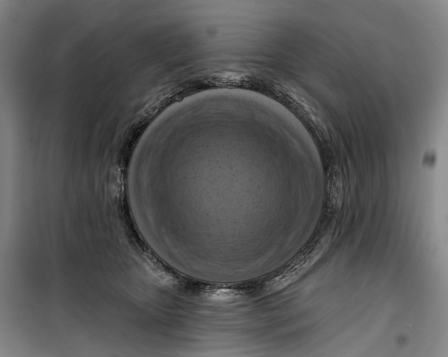 X0000099450467200805301516