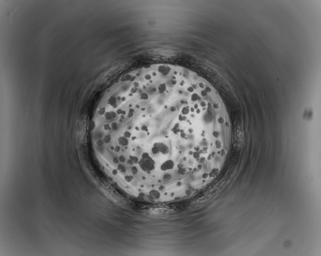 X0000099450468200805301516