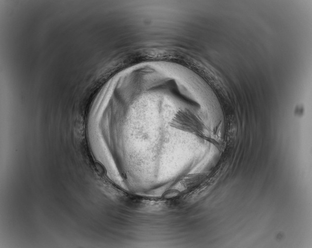 X0000099450469200805301516