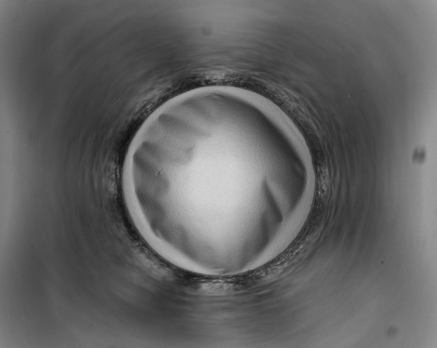 X0000099450470200805301516