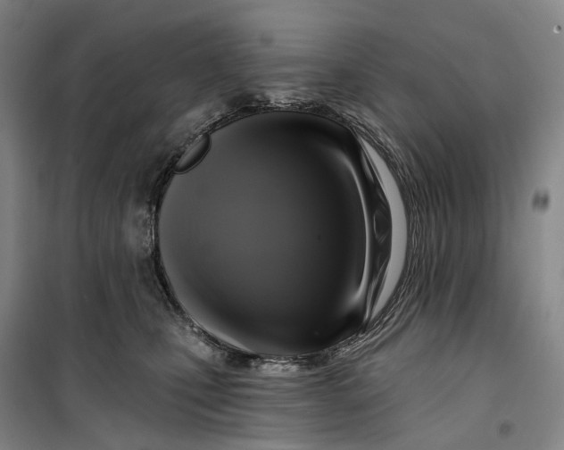 X0000099450471200805301516