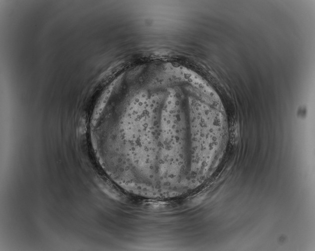 X0000099450472200805301516