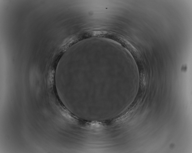 X0000099450475200805301516