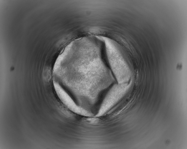 X0000099450478200805301516