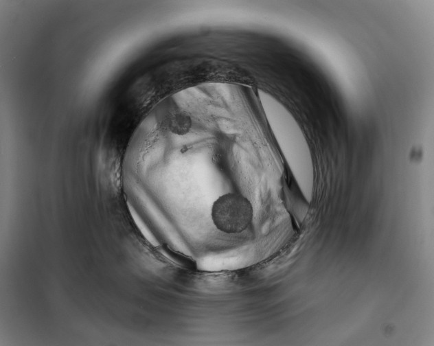 X0000099450479200805301516