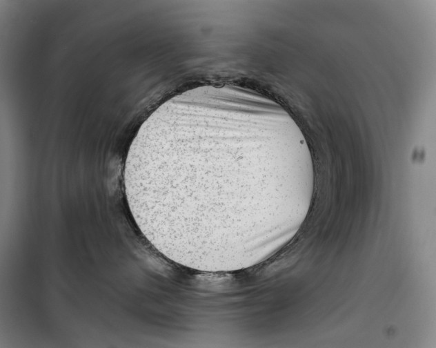 X0000099450480200805301516