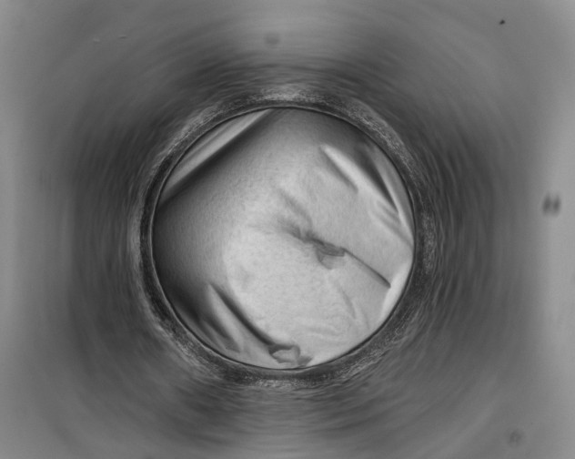 X0000099450482200805301516