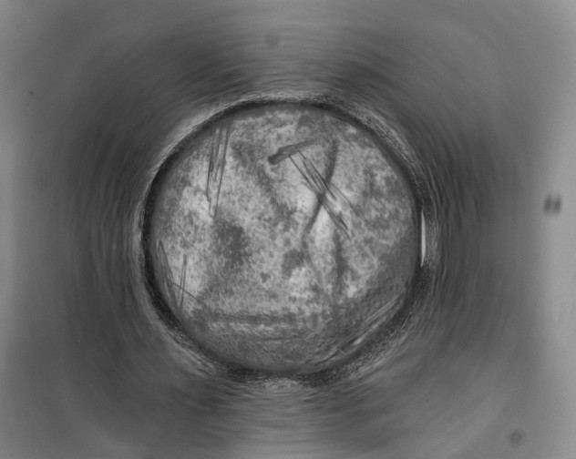 X0000099450483200805301516