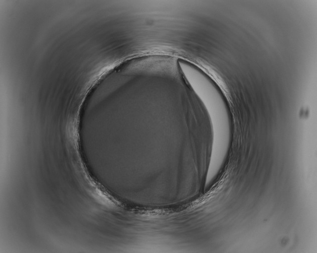 X0000099450485200805301516