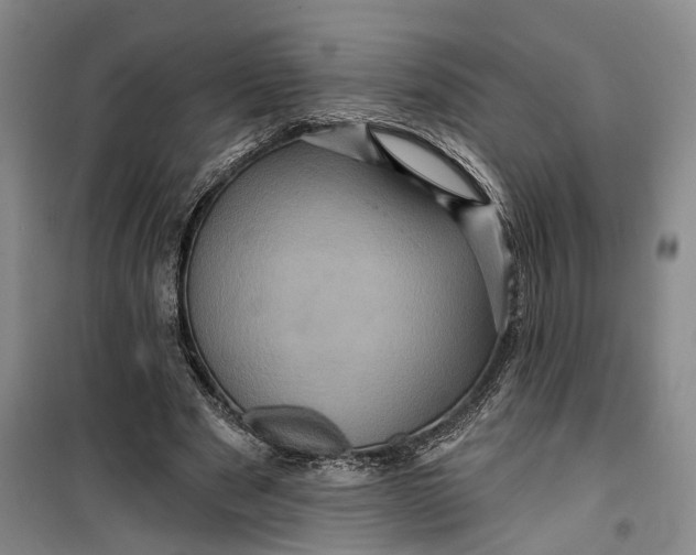 X0000099450489200805301516