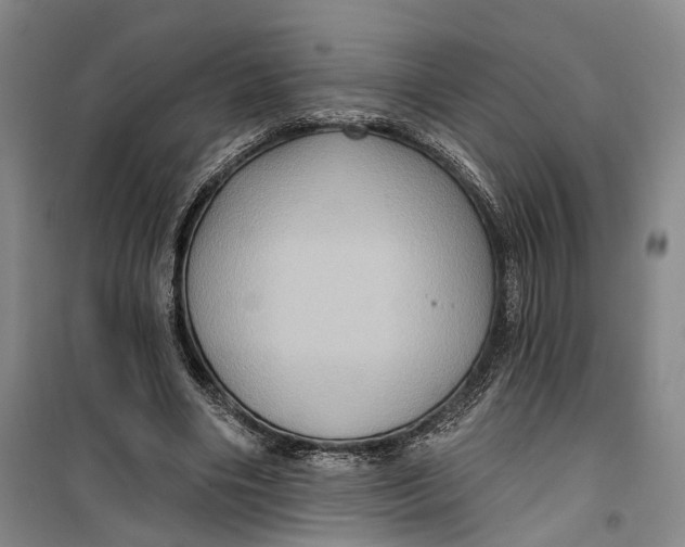 X0000099450490200805301516