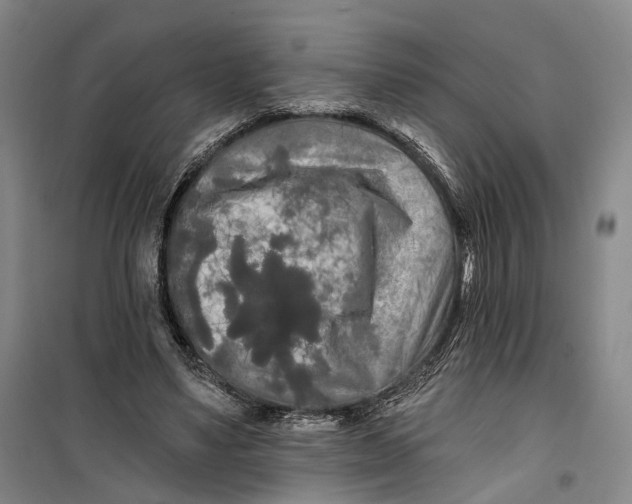 X0000099450491200805301516