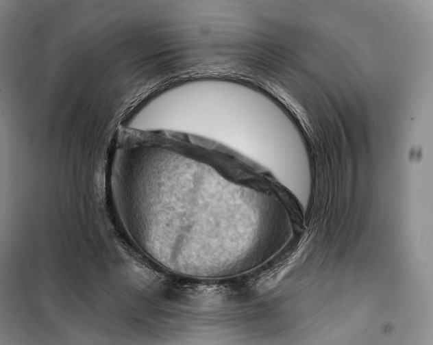 X0000099450493200805301515