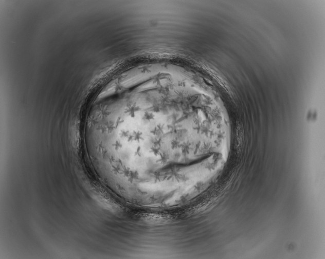 X0000099450494200805301515