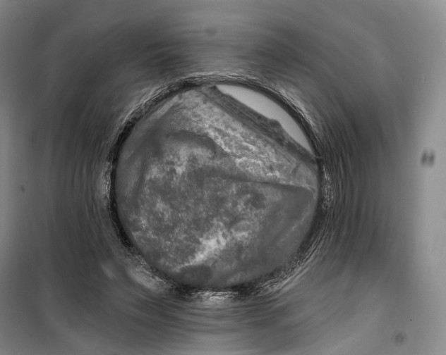 X0000099450495200805301515