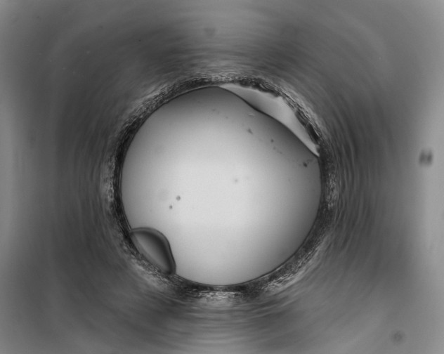 X0000099450497200805301515