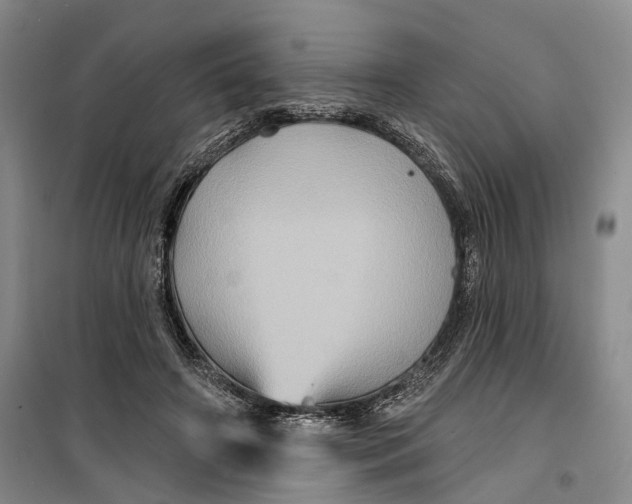 X0000099450498200805301515