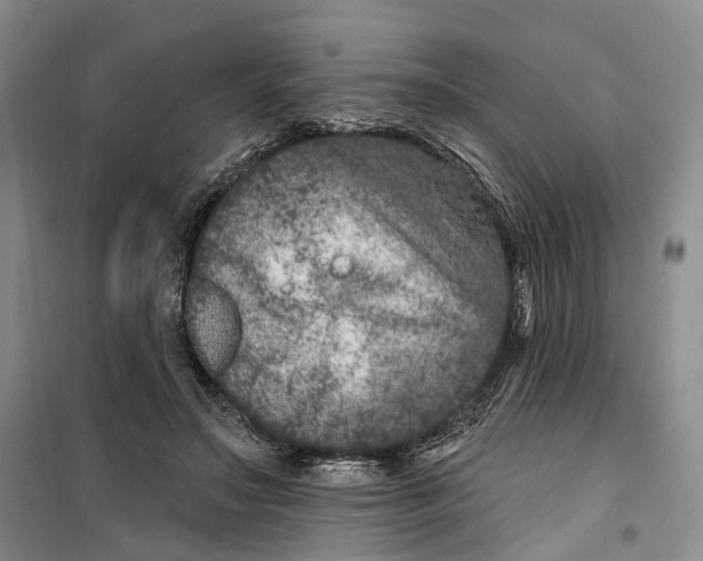 X0000099450499200805301515