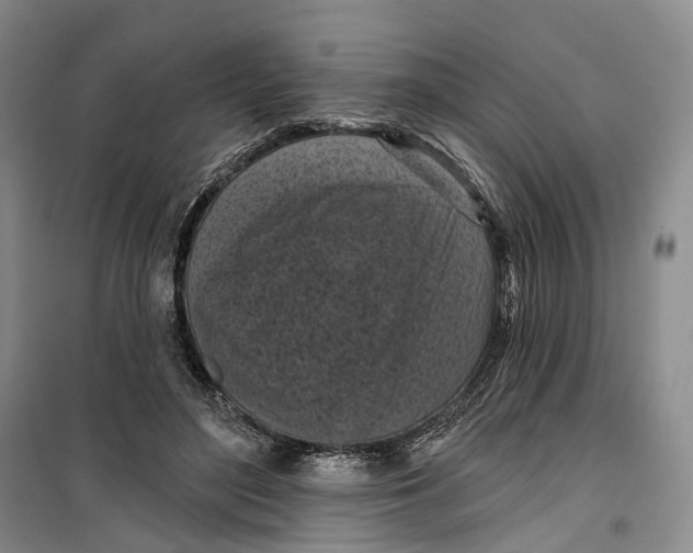 X0000099450500200805301515