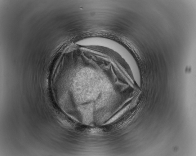 X0000099450501200805301515