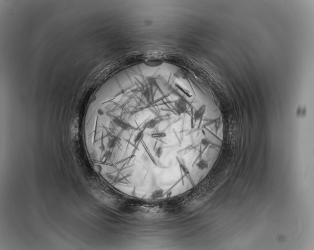 X0000099450502200805301515