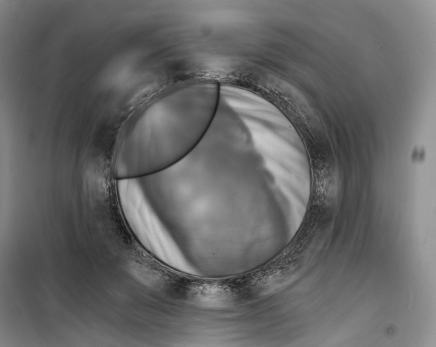 X0000099450503200805301515