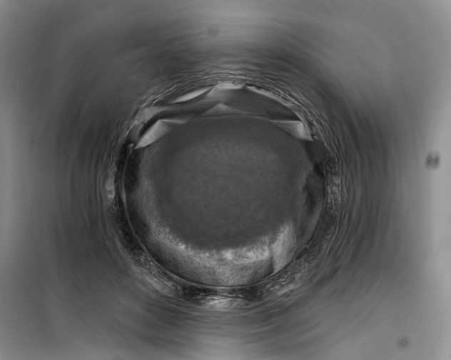 X0000099450504200805301515