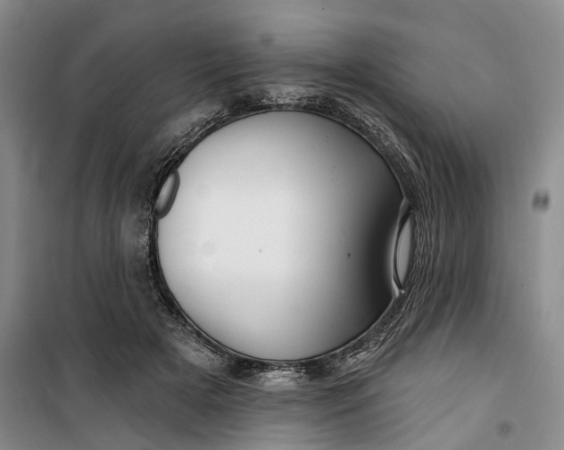 X0000099450505200805301515