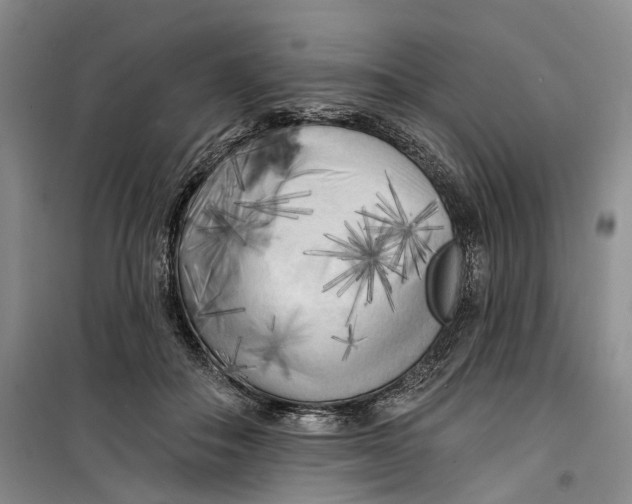 X0000099450506200805301515