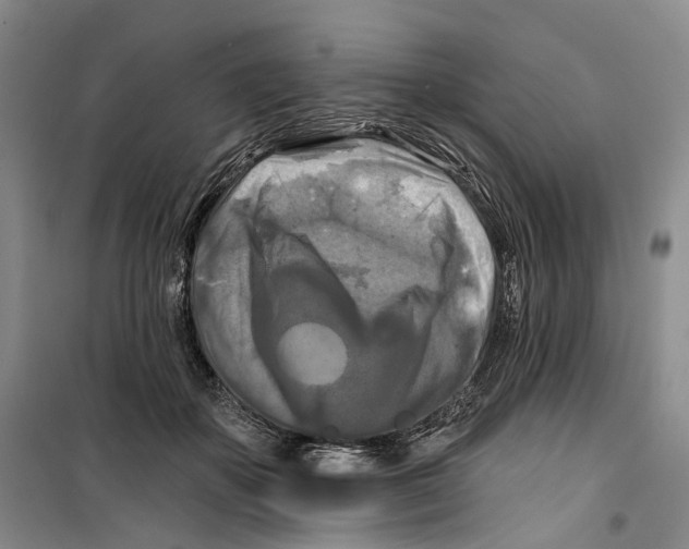 X0000099450507200805301515