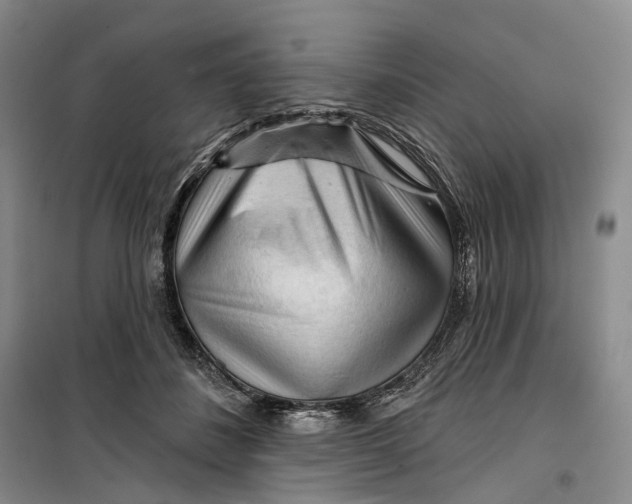 X0000099450508200805301515