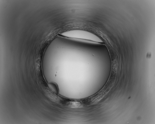 X0000099450509200805301515