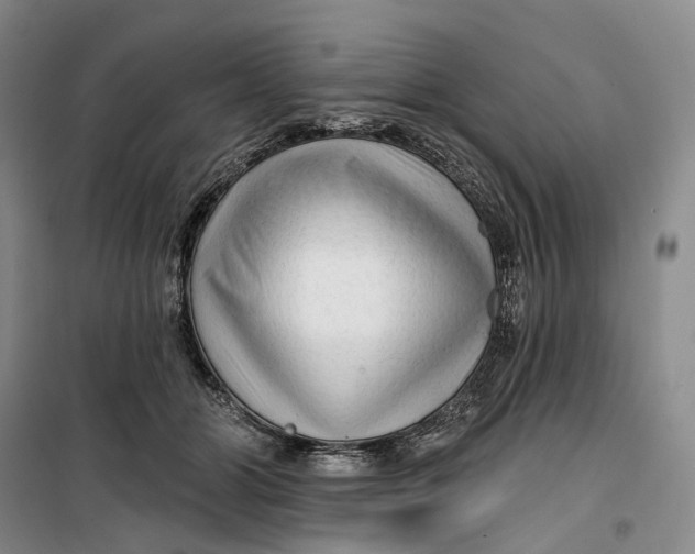 X0000099450510200805301515