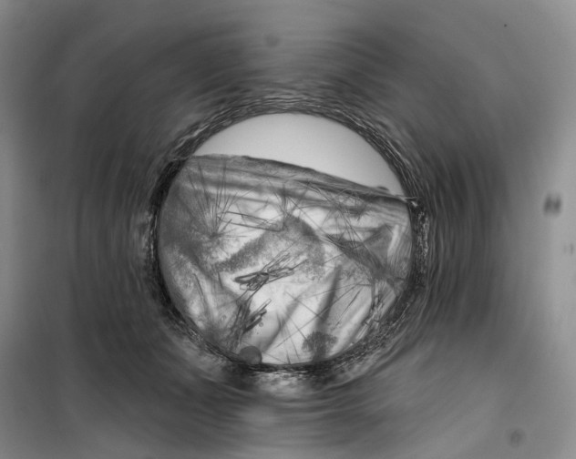 X0000099450511200805301515