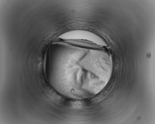 X0000099450513200805301515