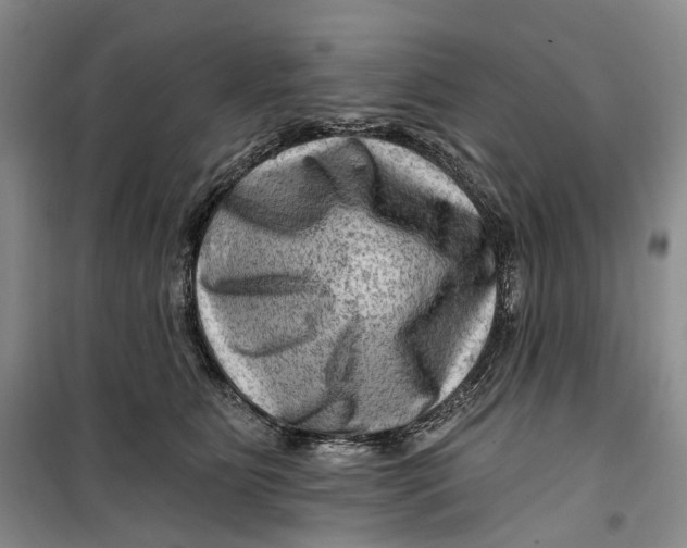 X0000099450515200805301515