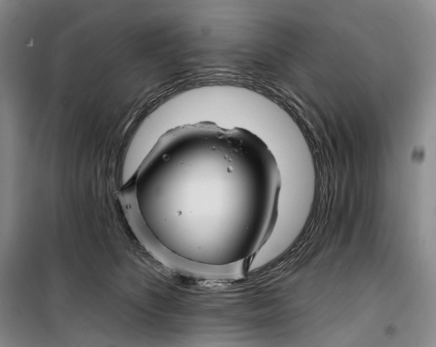 X0000099450516200805301515