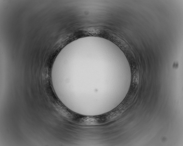 X0000099450518200805301515