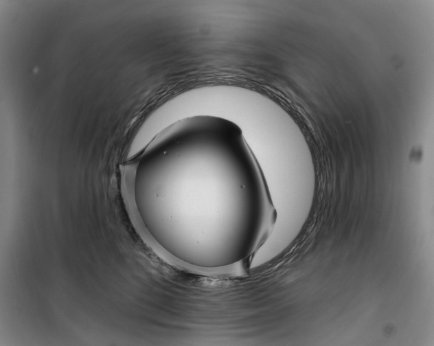 X0000099450520200805301515