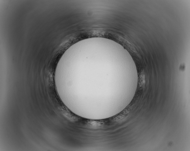 X0000099450522200805301515