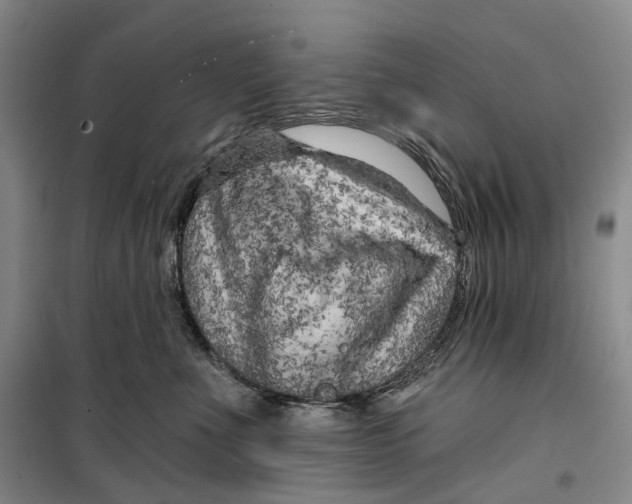 X0000099450523200805301515