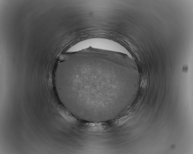 X0000099450524200805301515