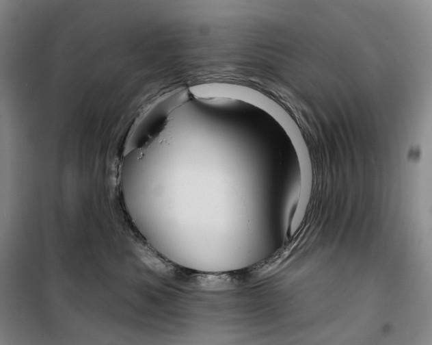 X0000099450525200805301515