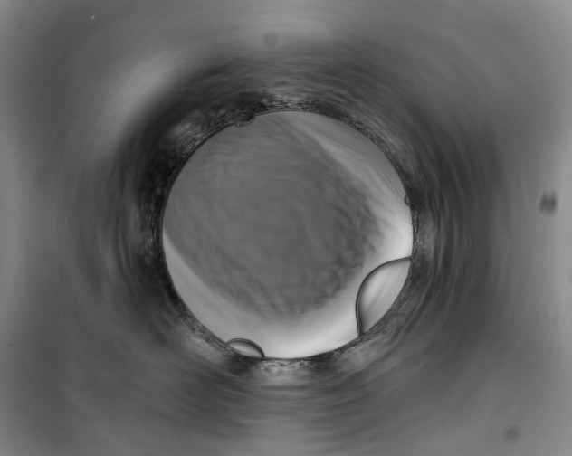 X0000099450526200805301515