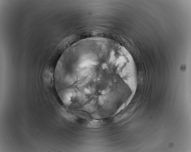 X0000099450527200805301515