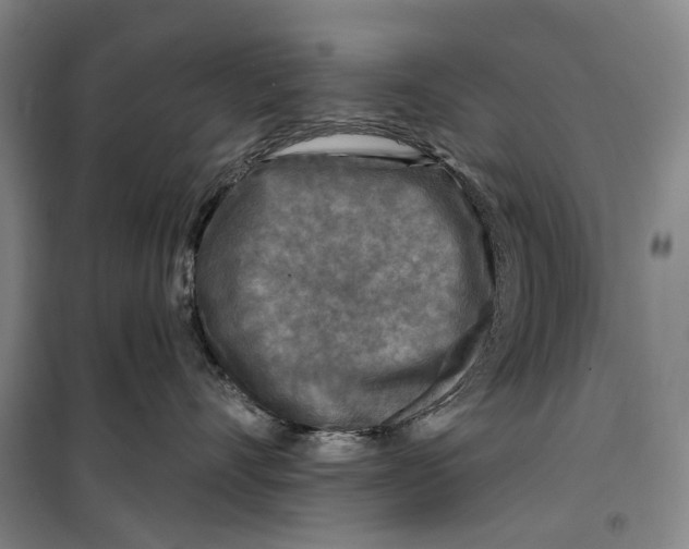 X0000099450528200805301515