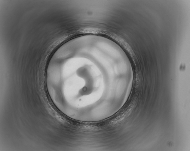 X0000099450529200805301514