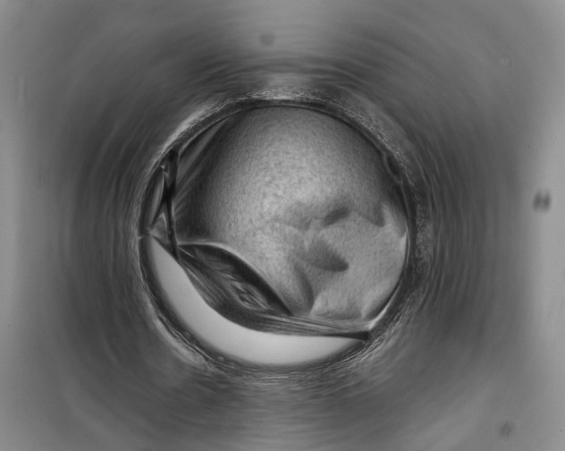 X0000099450530200805301514